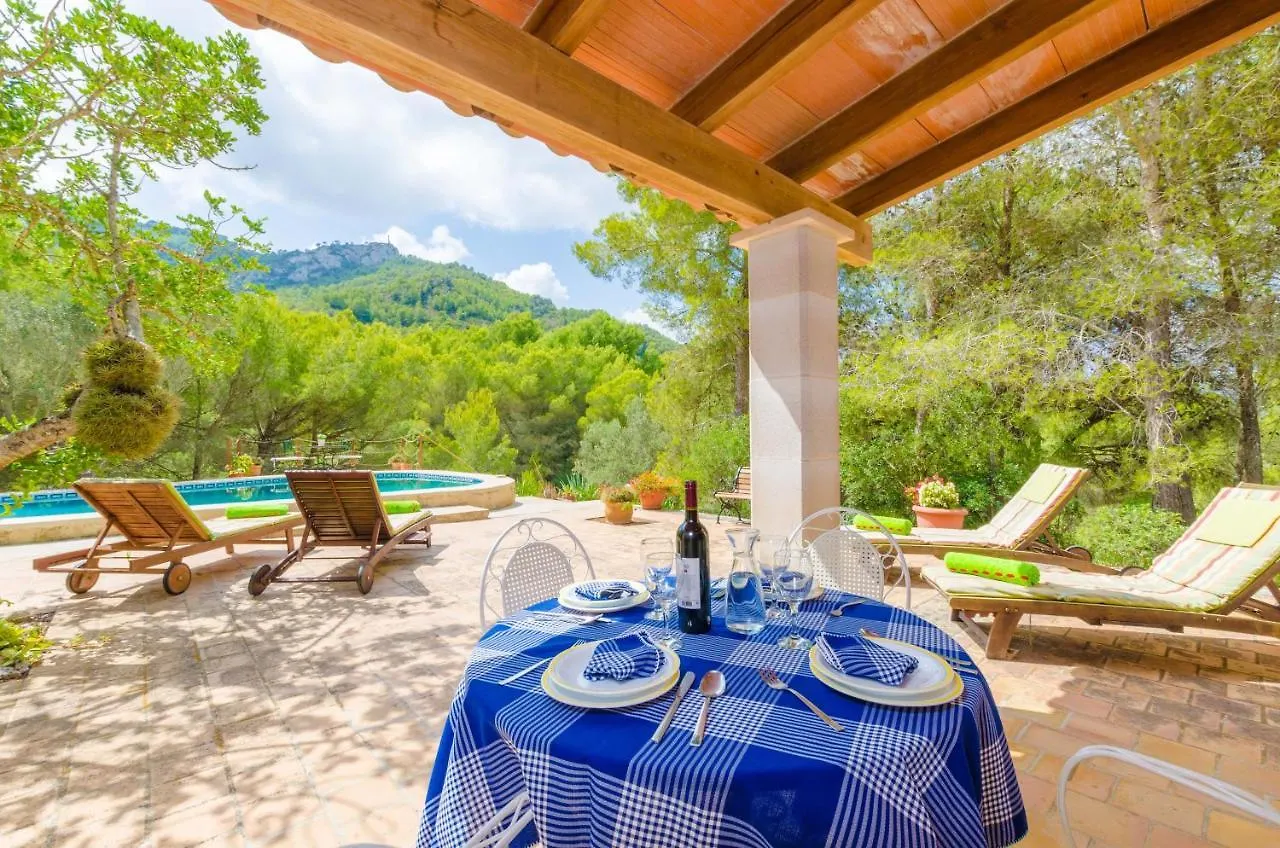 Casa Mas Villa