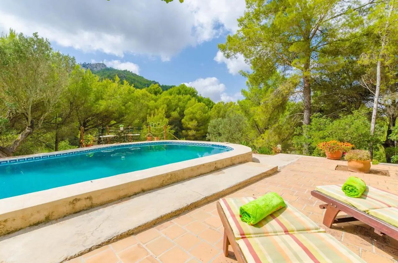 Casa Mas Villa