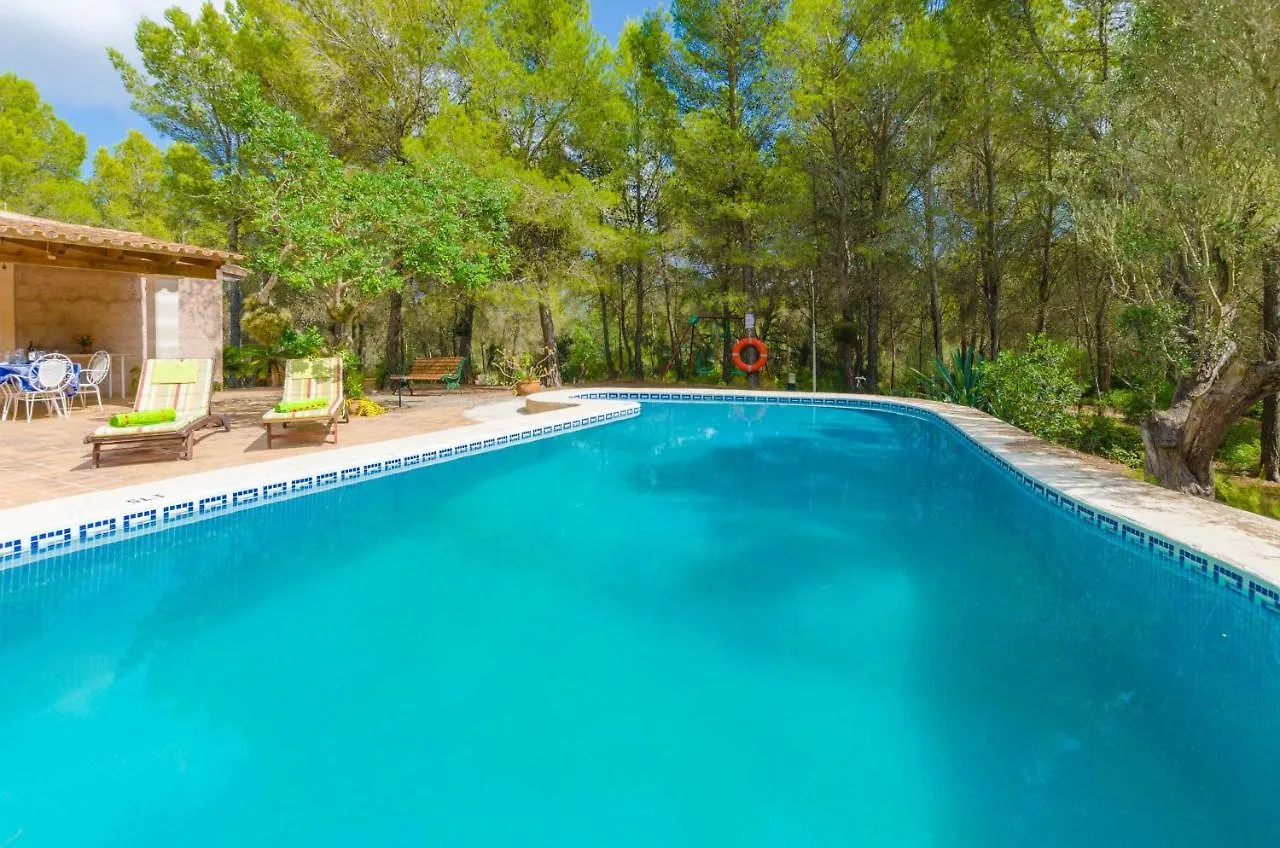 Casa Mas Villa